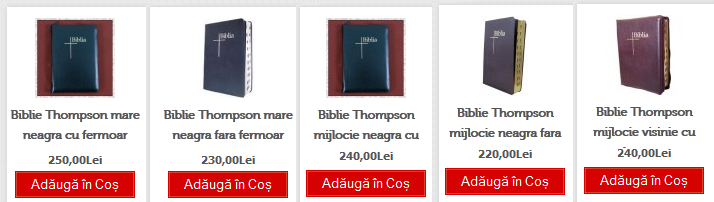 5 biblii thompson